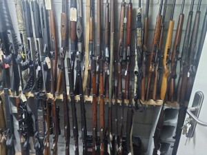 Mount Morgan Guns Jan 2024 3